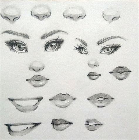 Https://tommynaija.com/draw/how To Draw A Nose And A Mouth