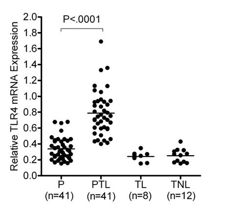 Expression Of Tlr4 Mrna In Maternal Peripheral Blood Leukocytes In