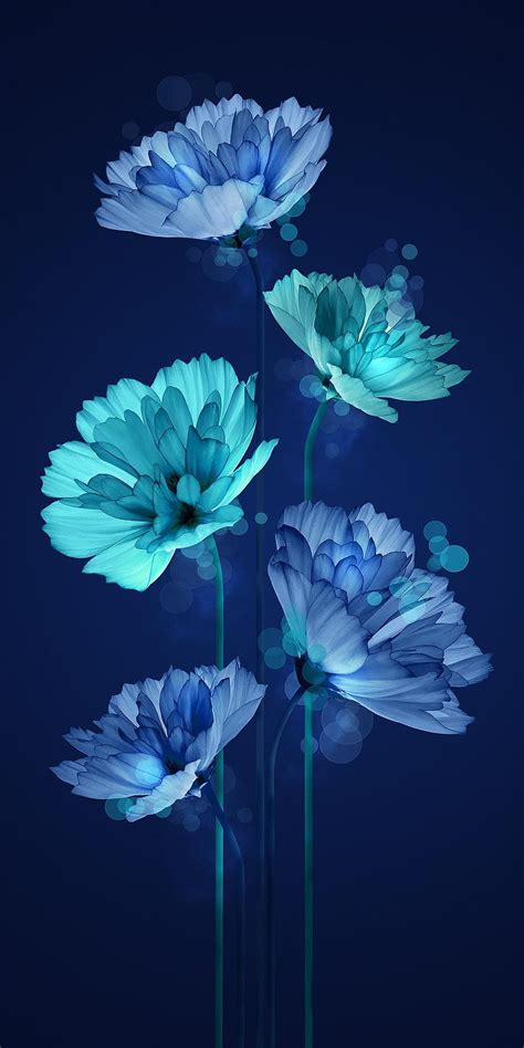 Fair Flowers Iphone X Flower Hd Phone Wallpaper Pxfuel