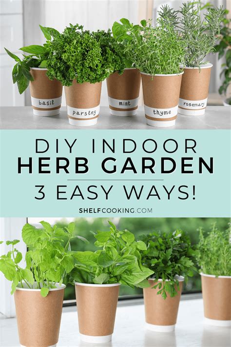 Kitchen Herb Garden Tutorial Easy Tips And Tricks Shelf Cooking