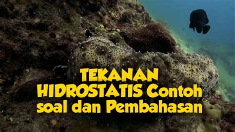 Akm adalah asesmen kompetensi minimum yang. Contoh Soal Akm Ipa Smp Dan Pembahasannya - Contoh Soal Dan Jawaban Dinamika Gerak - Dunia ...