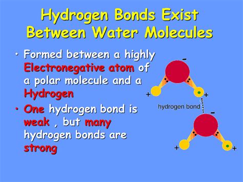 Feb 08, 2011 · one drop of water has the weight = 0.05 g. Properties of Water - Presentation Biology