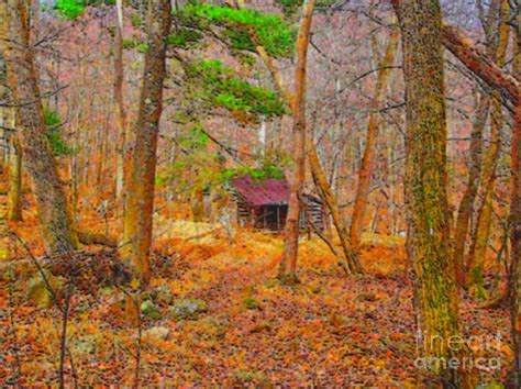 Log Cabin In The Deep Woods Photograph By E Robert Dee