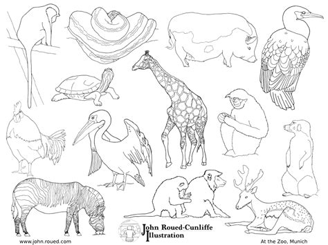 Animal Zoo Drawing Cartoon Animal Zoo Zoo Png Free Transparent
