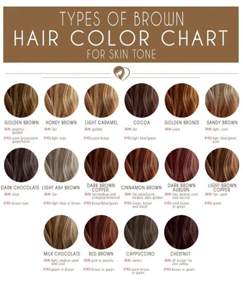 Shades Of Brown Hair Chart