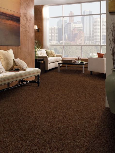 Best Carpet For Your Living Room 11 ~ Popular Living Room Design