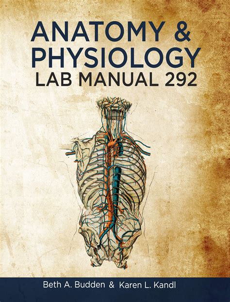 Product Details Anatomy And Physiology Ii Lab Manual 292 Great River