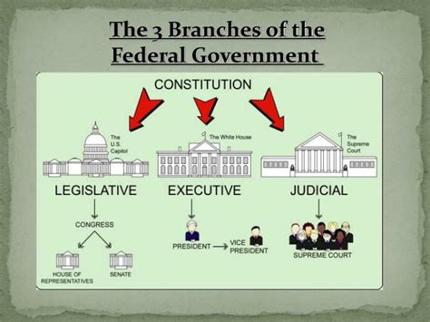 Diagram Of Us Government Branches