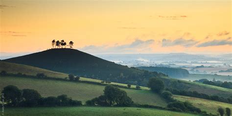 Colmers Hill Panoramic A4 Fine Art Print Landscape Photography