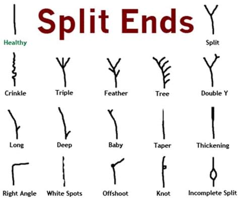 Home Remedies For Split Ends Indian Beauty Tips