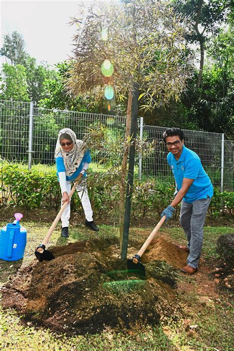 Harga terbaik untuk menjimatkan belanjawan anda. Students help replant rare fruit trees in Taman Rimba ...