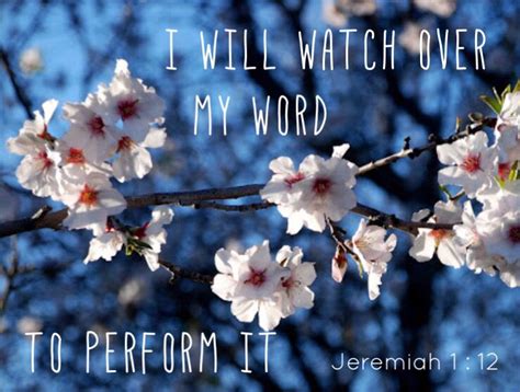 Jeremiah 1 12 I Am Alert And Active Watching Over My Word To Perform