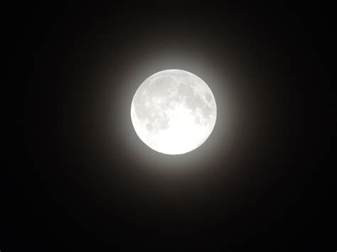 Fotos Gratis Ligero Noche Atmósfera Cielo Nocturno Luna Llena