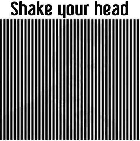 What Do You See Brain Teasers Pictures Funny Brain Teasers Image