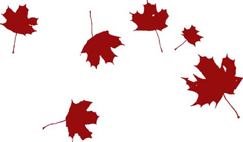 Maple Falling Wind · Free Vector Graphic On Pixabay