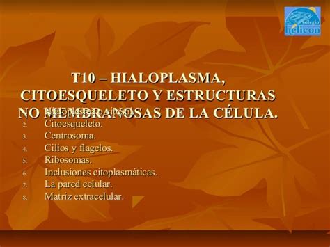 T10 Hialoplasma Citoesqueleto Y Estructuras No Membranosas De La C