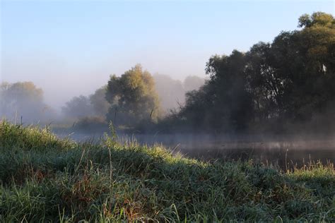 Free Images Landscape Tree Nature Forest Marsh Cloud Sky Sun