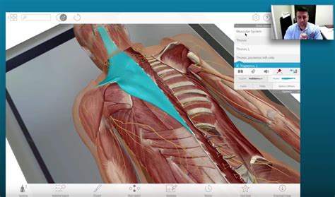 Teaching A Cadaver Lab With 3d Anatomy Models And Animations With