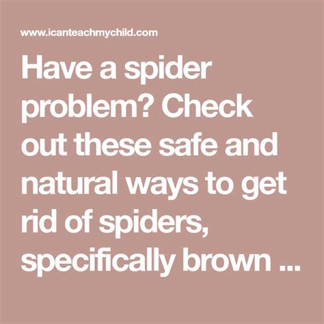 Look behind sinks, inside wardrobes, loft spaces, or under beds. How to Get Rid of Brown Recluse Spiders - I Can Teach My ...