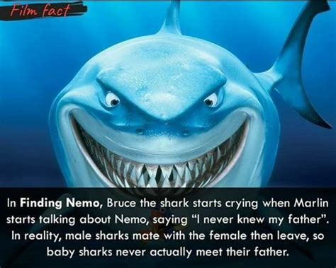 In Finding Nemo Bruce The Shark Starts Crying When Marlin Starts