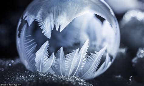 Mesmerising Beauty Of Intricate Ice Patterns Formed Inside Soap Bubbles