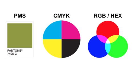 Color Systems Guide The Difference Between Pms Cmyk Rgb Hex