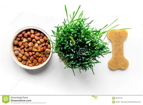 Dry Dog Food In Bowl On White Background Top View Stock Image Image