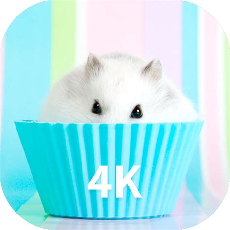 App Insights Hamster Wallpapers Apptopia