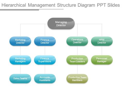 Hierarchical Management Structure Diagram Ppt Slides Powerpoint Slide