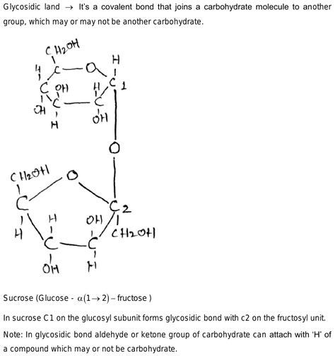 What Is The Glycosydic Bond Of Sucrose