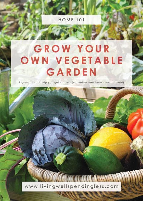How To Grow A Vegetable Garden Beginner Gardening 101 Vegetable