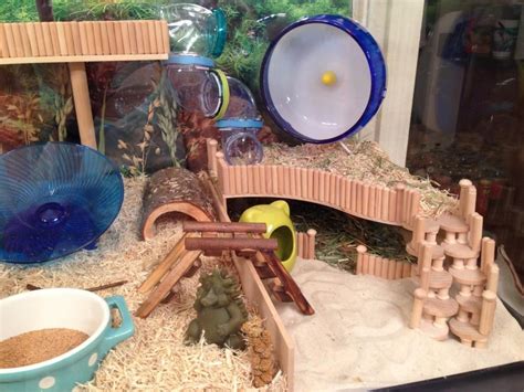 For the large window i used acrylic glass which i cut. 20 DIY Cool Hamster House - meowlogy