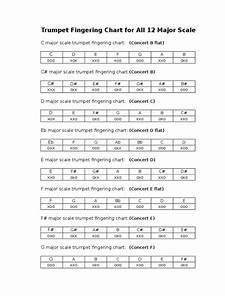 Major Scales Fingerings For Trumpet