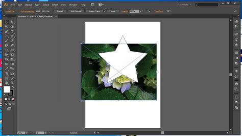 Adobe Illustrator Tutorials How To Fill Shape With Image Clipping