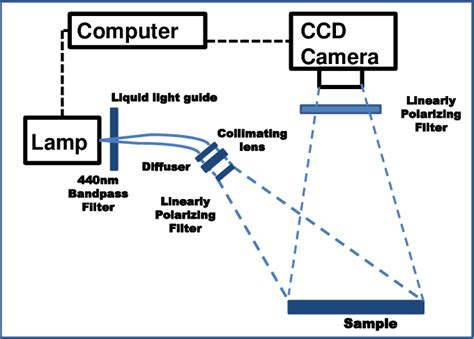 Optical Imaging System Download Scientific Diagram