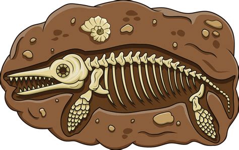 Illustration Of Cartoon Ichthyosaurus Dinosaur Fossil 5332226 Vector