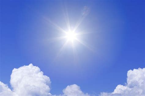 Sunlight Offers Surprise Benefit — It Energizes Infection Fighting T Cells