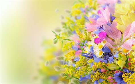 Find the best flower wallpaper for desktop on wallpapertag. Summer Wallpaper HD Free download | PixelsTalk.Net