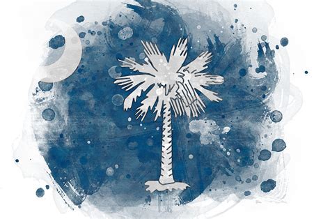 South Carolina State Flag Watercolor Digital Art By Mark Miglionico