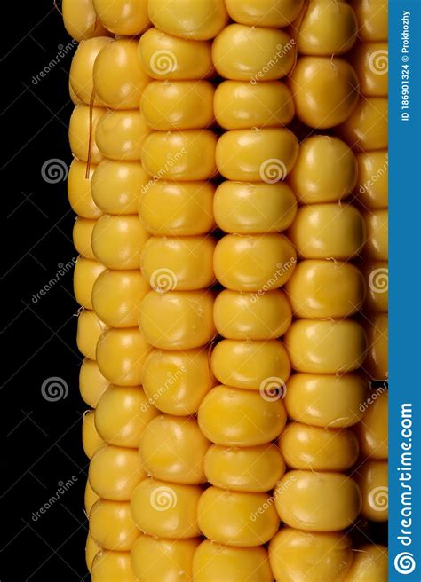 Maize Zea Mays Seeds Closeup Stock Photo Image Of Seed Plants