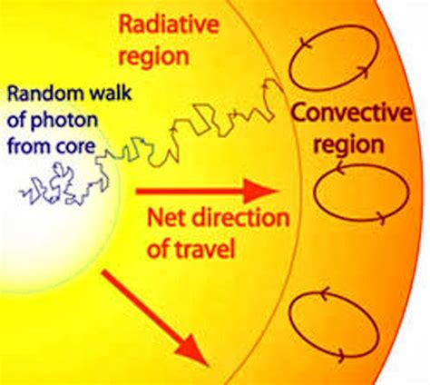 The Sun Has A Radiation Zone Science News