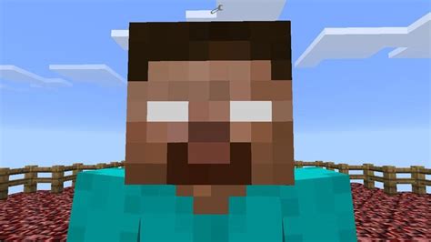 Your Government Assigned Kin — Herobrine From Minecraft Removed