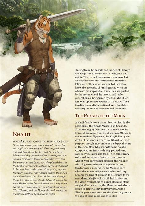 5e Character Builder All Classes Caqweepic
