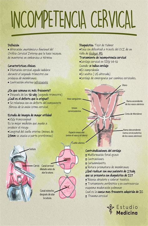 Incompetencia Cervical Cosas De Enfermeria Diagnosticos De