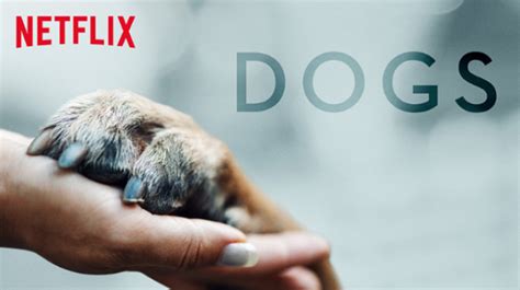 Dogs Season Two Renewal Announced For Netflix Series