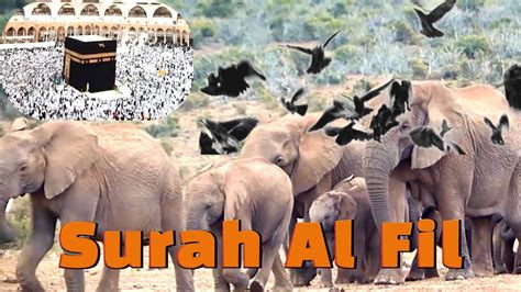 Surah Al Fil Surah Of Elephants Stories From The Quran Tafsir For