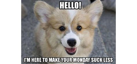 See, rate and share the best monday memes, gifs and funny pics. 10 Memes About Monday