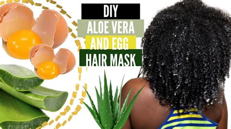 extreme hair growth treatment for natural hair diy aloe vera and egg hair mask mara ophelia
