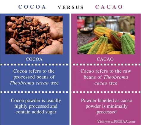 What Is The Difference Between Cocoa And Cacao Pediaacom