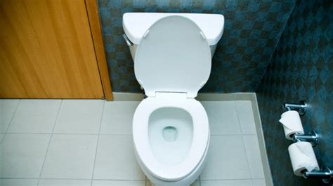 Why Is Pee Yellow And Other Pressing Bladder Questions Mental Floss
